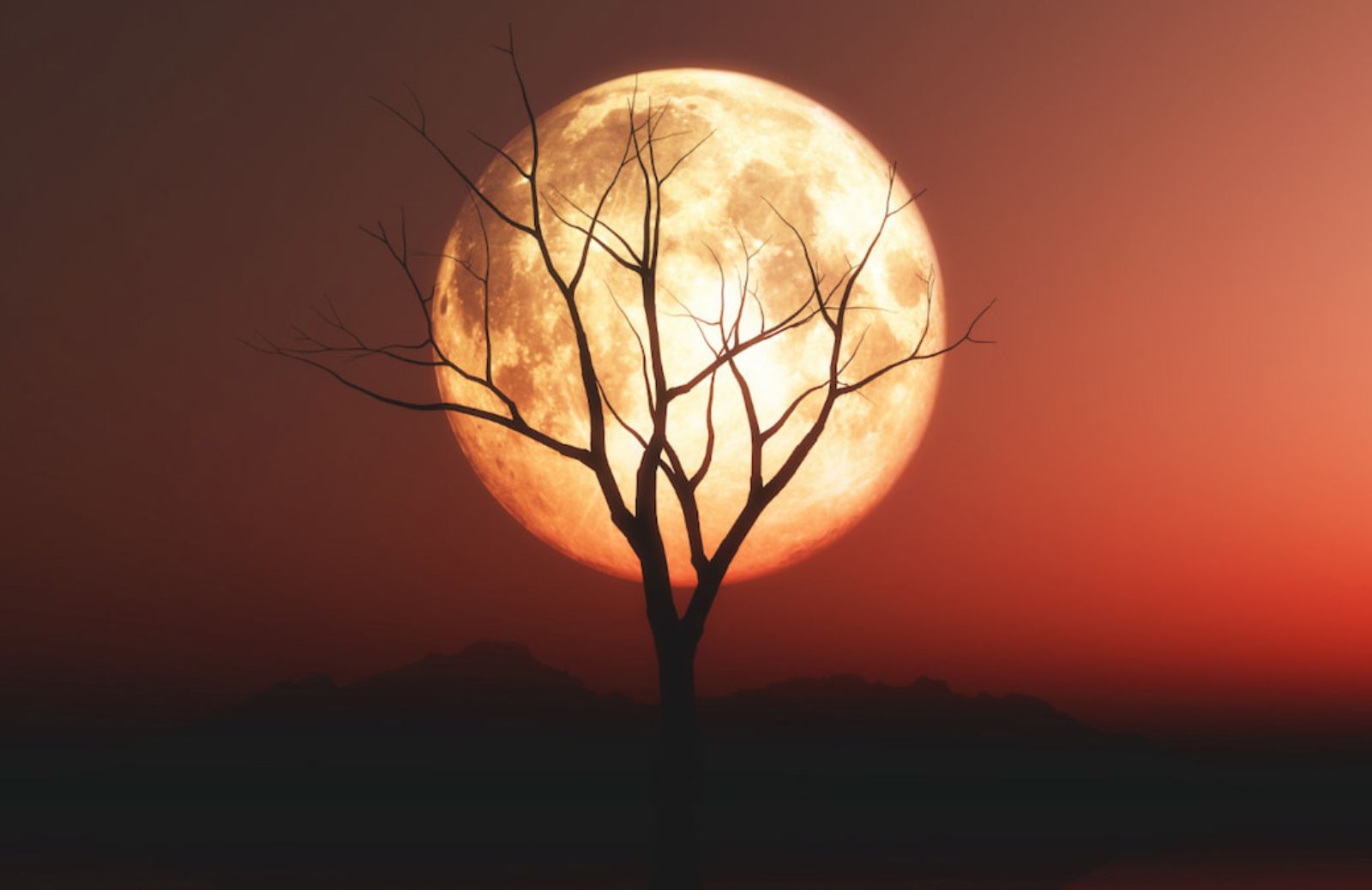 Calendario lunare: le lune piene del 2026 fra superlune, eclissi e microlune