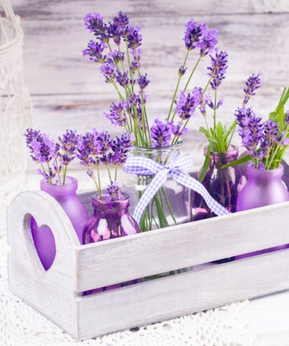 <p>Romantica lavanda. Sembra un gioco di parole, ma <strong>la lavanda secca &egrave; davvero un evergreen</strong>. Basta mettere qualche ramoscello che sbuca da boccettine colorote, o piccoli barattoli di vetro, oppure in un piccolo vassoio da colazione e il gioco &egrave; fatto. Si ottengono dei graziosi centrotavola, o comunque dei complementi di arredo che possono richiamarsi a vicenda in una stanza o addirittura in tutta la casa.&nbsp;</p>
