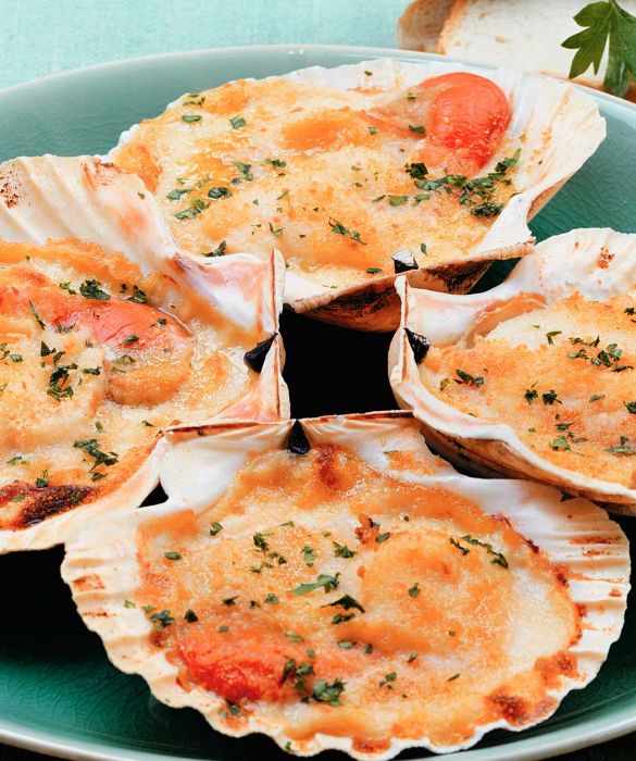Le Coquilles Saint-Jacques, che noi conosciamo come capesante, sono tra gli antipasti più diffusi e apprezzati sulle tavole francesi. Si possono cucinare in mille modi: semplici al gratin con una spolverata di pepe e prezzemolo o condite con salse appetitose come la salsa Mornay, una sorta di besciamella 